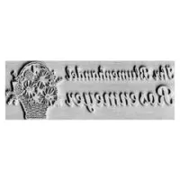 Stempelplatte Trodat 4925