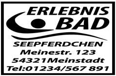 Trodat Professional 5211